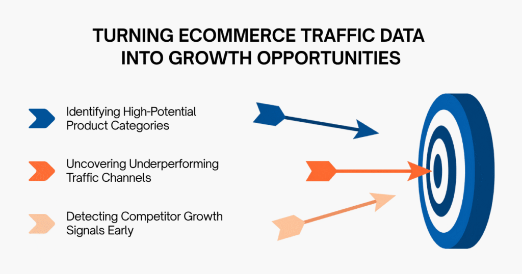 Turning Ecommerce Traffic Data into Growth Opportunities